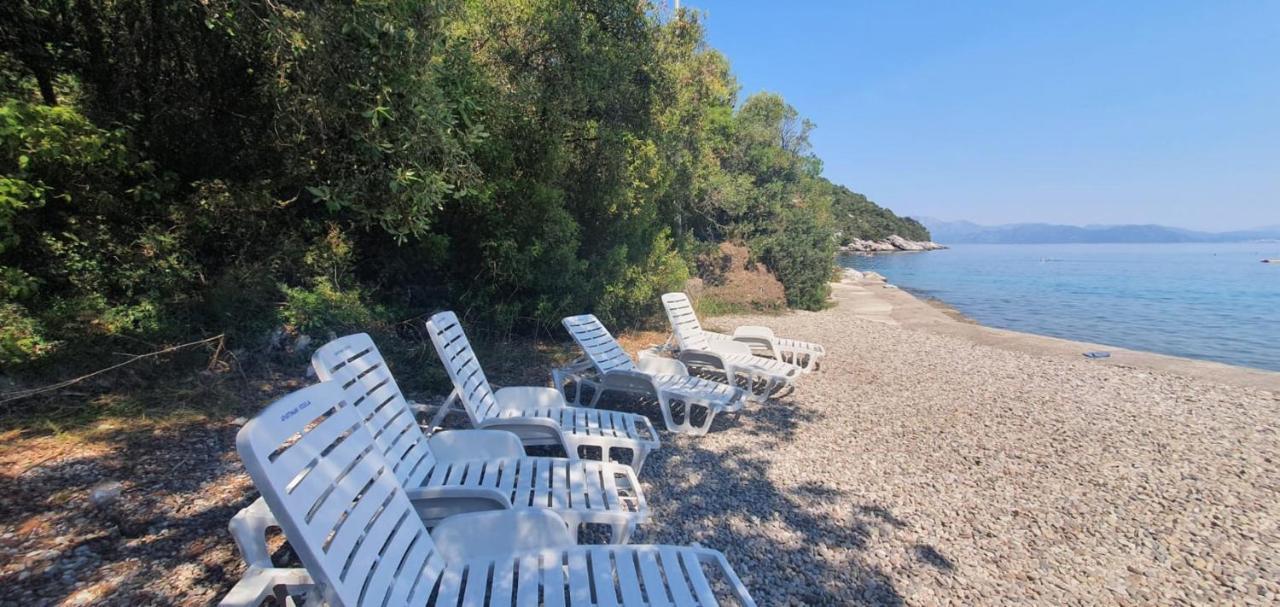 Apartament Vesela Janjina