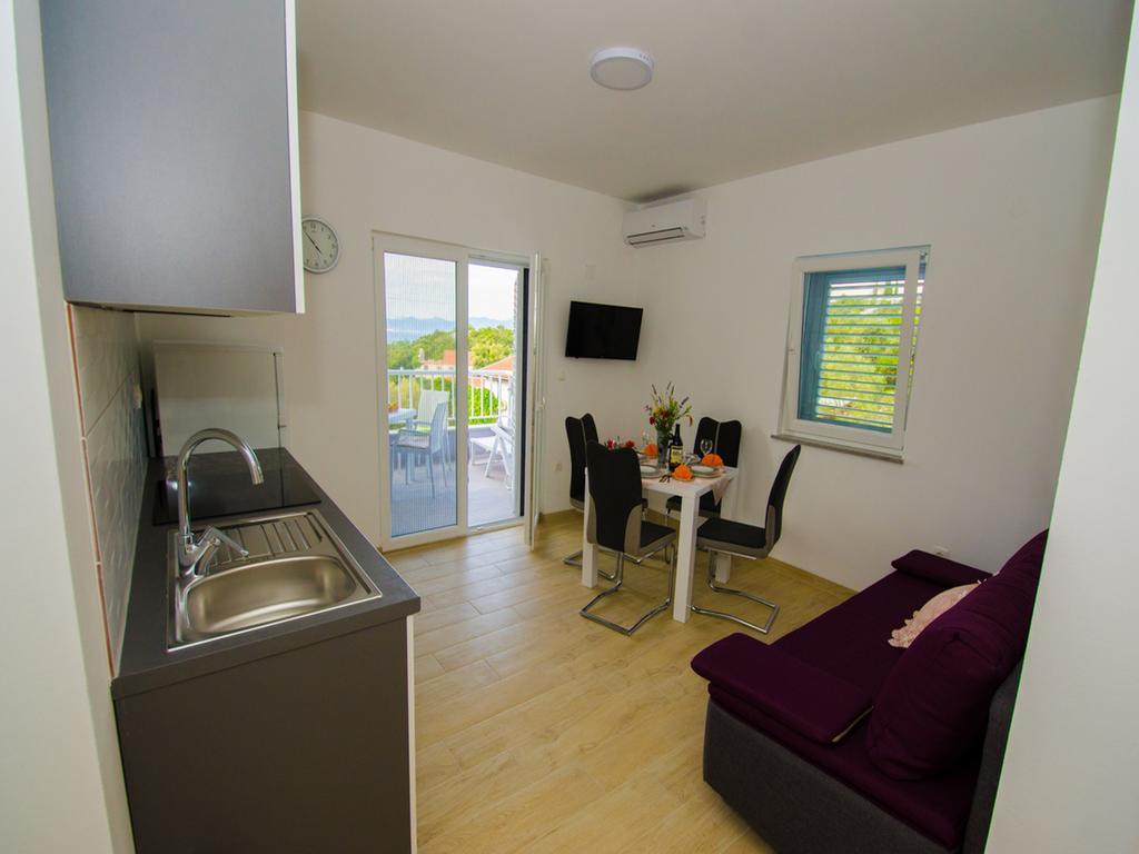 Apartment Vesela Janjina